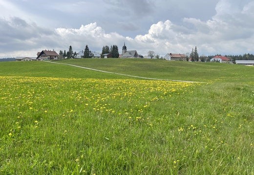 23-05-21 17-30-58 5544